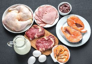 Protein diet weight loss